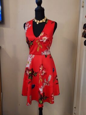 Ted Baker Red Floral V-Neck Fit-and-Flare Mini Dress